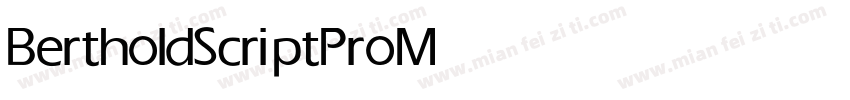 BertholdScriptPro Medium字体转换